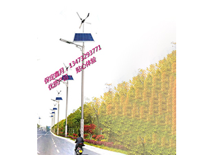 風(fēng)光互補(bǔ)太陽能路燈FGD-31