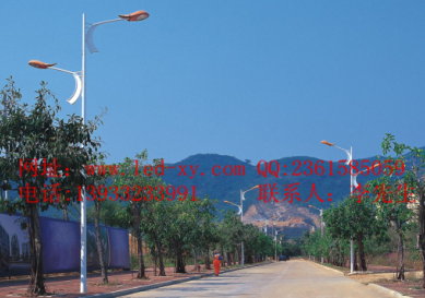 LED路燈LED119 LED路燈LED119